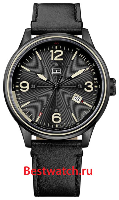 Часы Tommy Hilfiger Peter 1791103